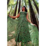 Jayshree Soni Instagram - Grow your roots deep and then reach for the stars, whispered the red wood trees.❤