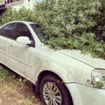 Kalki Koechlin Instagram – Parked
#overgrown
#bushyhug