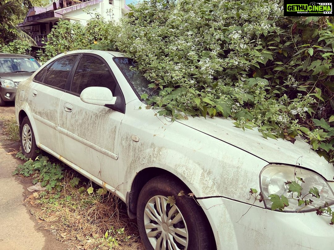 Kalki Koechlin Instagram - Parked #overgrown #bushyhug