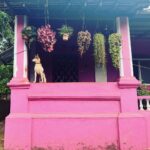 Kalki Koechlin Instagram - Watchdog #pinkhouse