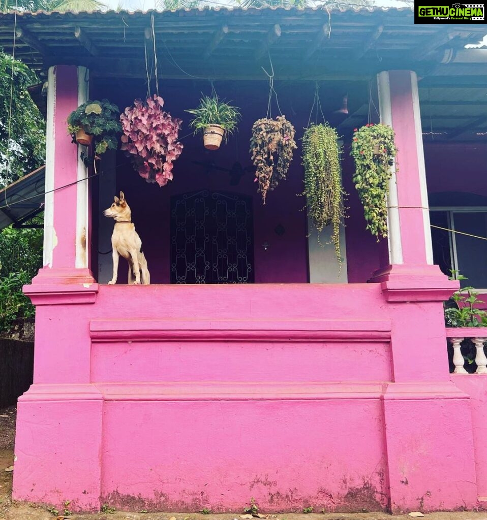 Kalki Koechlin Instagram - Watchdog #pinkhouse