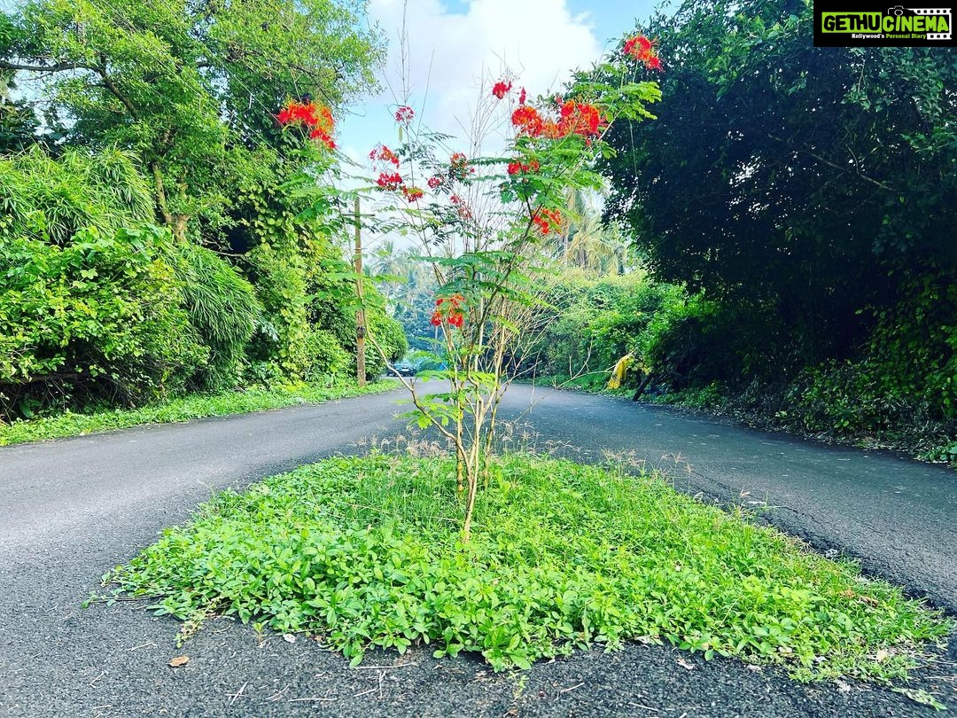 Kalki Koechlin Instagram - Space for flowers #roadkebeechme