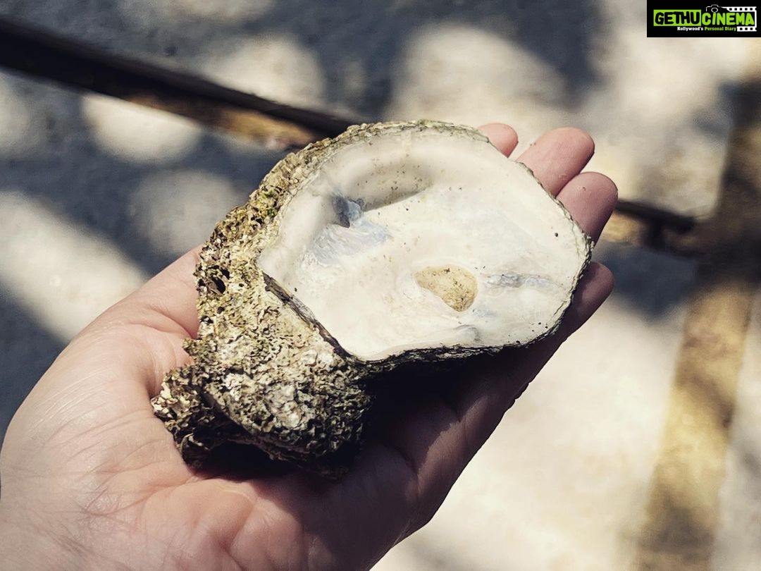 Kalki Koechlin Instagram - Found a great soap dish #naturegifts #littletreasures