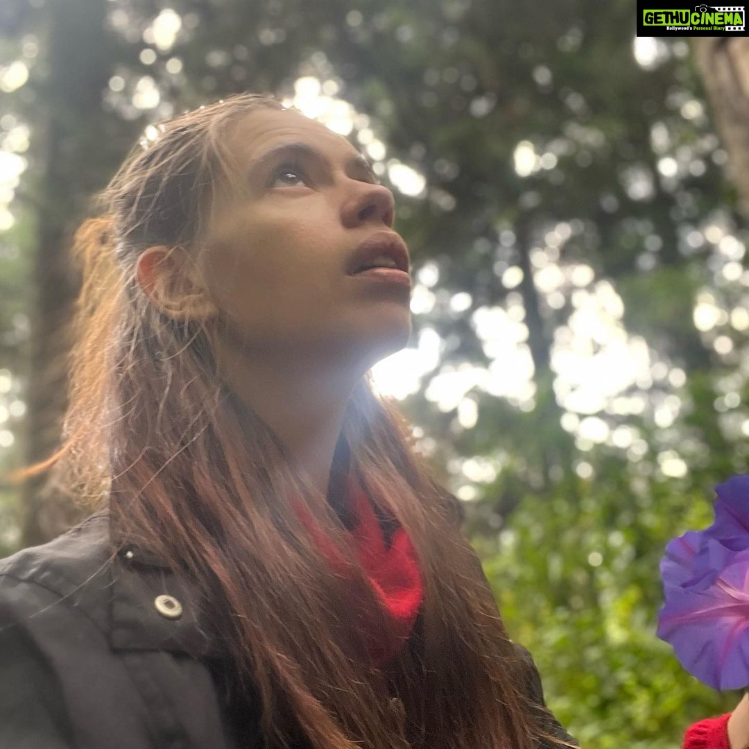 Kalki Koechlin Instagram - Forest findings #treasuresallaround #awalkinthewoods
