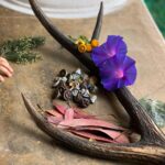 Kalki Koechlin Instagram - Forest findings #treasuresallaround #awalkinthewoods