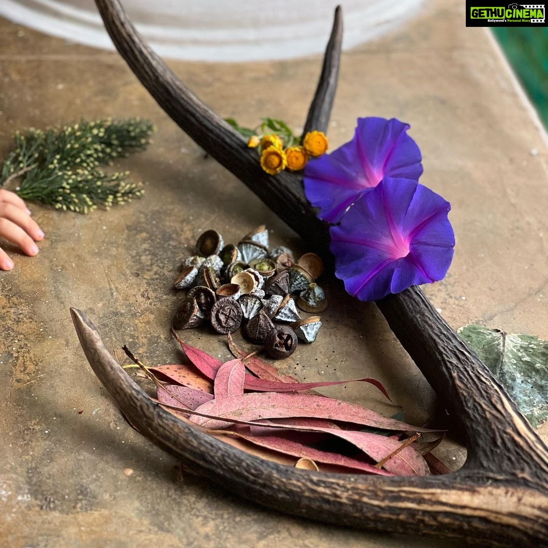 Kalki Koechlin Instagram - Forest findings #treasuresallaround #awalkinthewoods