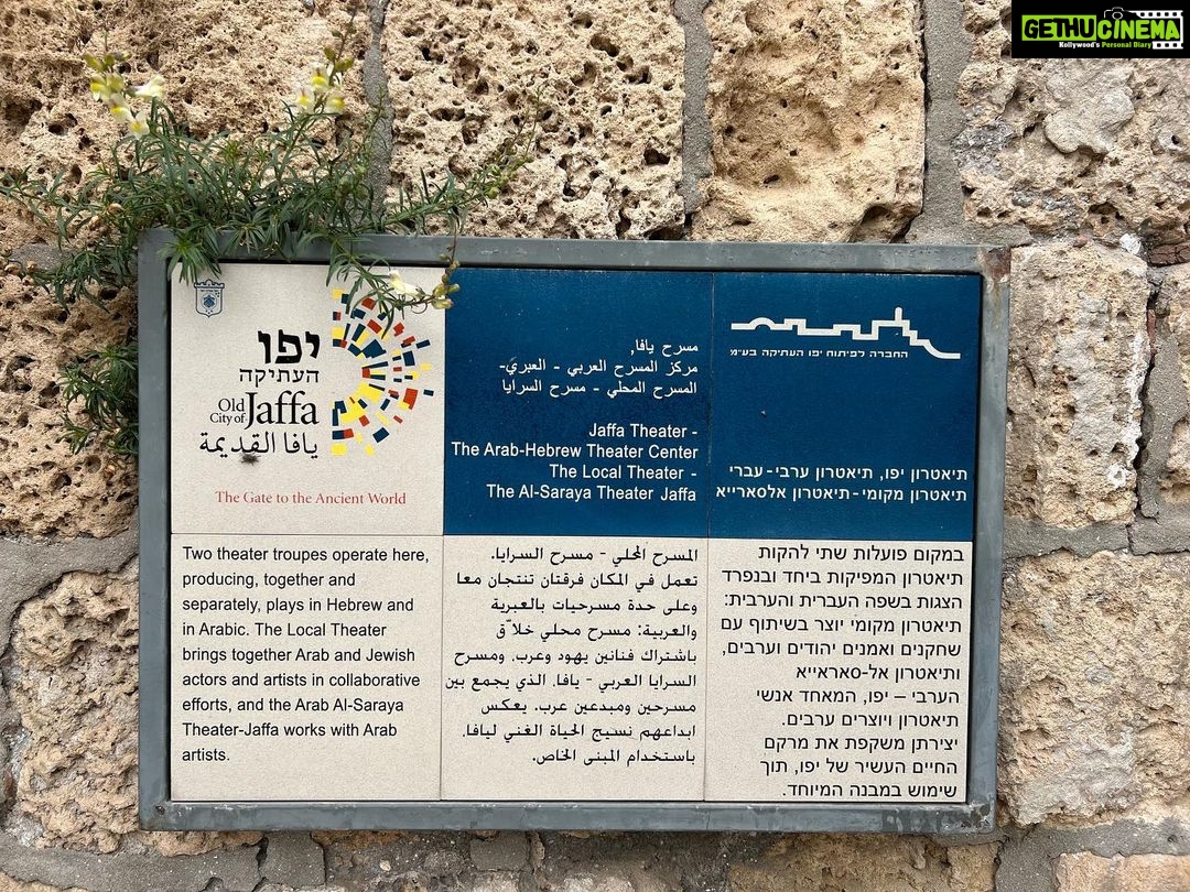 Kalki Koechlin Instagram - Yafo. A walk through old, familiar places… #whereflowersgrow #arabandjewishtogether