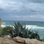 Kalki Koechlin Instagram - Yafo. A walk through old, familiar places… #whereflowersgrow #arabandjewishtogether