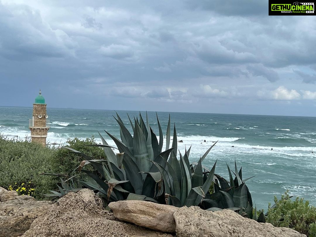 Kalki Koechlin Instagram - Yafo. A walk through old, familiar places… #whereflowersgrow #arabandjewishtogether