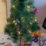 Kamya Punjabi Instagram - #merrychristmas from us to you 🎄🫶
