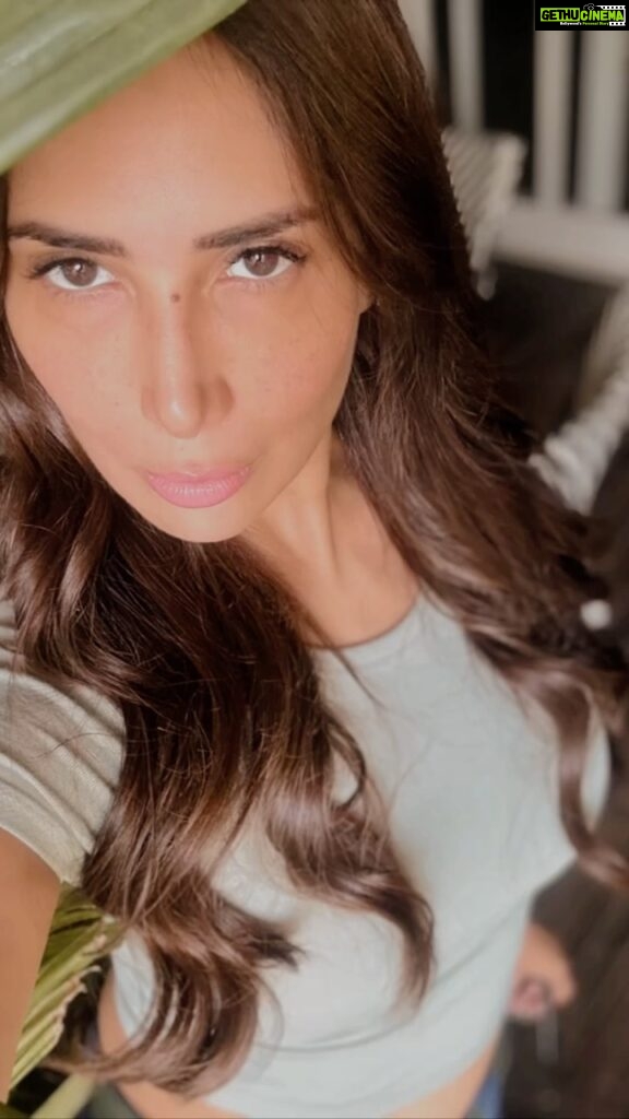 Kim Sharma Instagram - Hello #march 🎱 fresh hair colour with my fav @sammysangria @samanthassalon got me ready for spring 🌻 Samantha's Salon