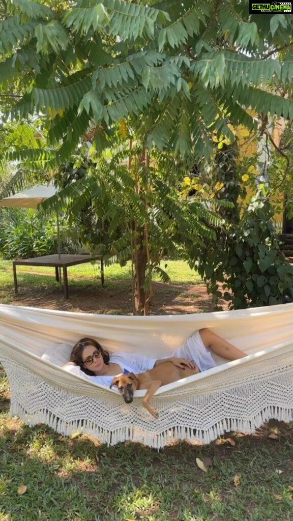Kim Sharma Instagram - #mischka and moi swinging into another weekend ✌🏻 #puppy #thursday #reels 🐶