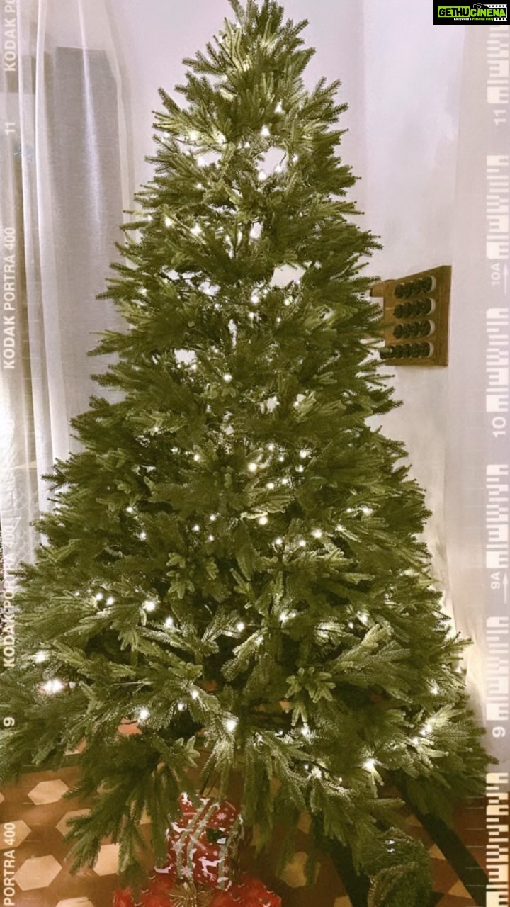 Kim Sharma Instagram - Mischka’s first #christmas 🌲 #reels #itsbeginningtolookalotlikechristmas 🎅🌲🎶