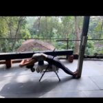 Kim Sharma Instagram - Photo dump 🐨 #reels #yoga #mondaymotivation @ianlewis4806 :) #iyengar