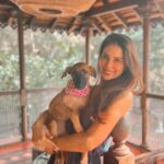 Kim Sharma Instagram - 🐶❤️ #reels #sunday 🌞