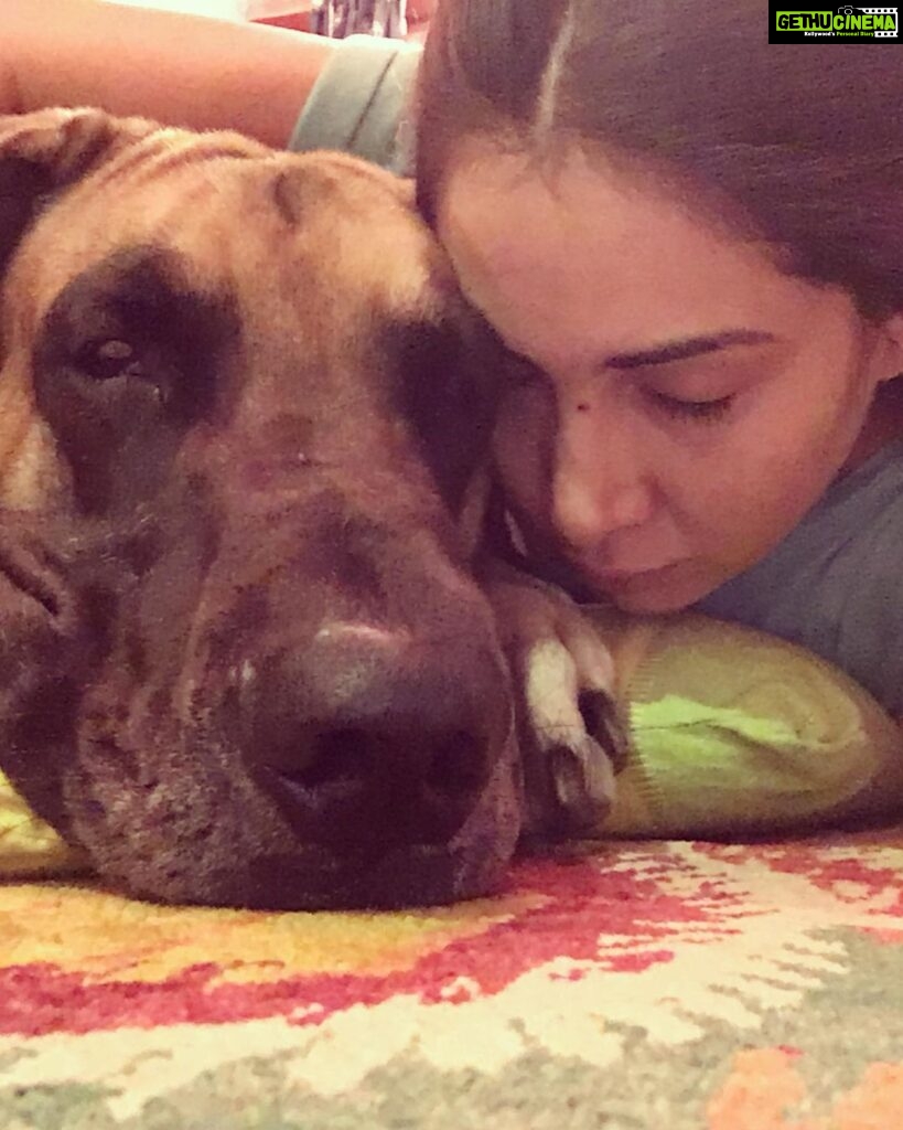 Kim Sharma Instagram - 365 days since we saw each other. How did we manage? That’s the beauty of life, it moves despite all and so you move along with it. But not a single day has passed where I haven’t missed you my most beautiful baby boy. There will never be another You. There will never be another Us. Until we meet again you’re in my heart,be good and dont eat too many biscuits #bones 🐾
