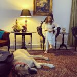Kim Sharma Instagram - 365 days since we saw each other. How did we manage? That’s the beauty of life, it moves despite all and so you move along with it. But not a single day has passed where I haven’t missed you my most beautiful baby boy. There will never be another You. There will never be another Us. Until we meet again you’re in my heart,be good and dont eat too many biscuits #bones 🐾