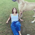 Kim Sharma Instagram - 365 days since we saw each other. How did we manage? That’s the beauty of life, it moves despite all and so you move along with it. But not a single day has passed where I haven’t missed you my most beautiful baby boy. There will never be another You. There will never be another Us. Until we meet again you’re in my heart,be good and dont eat too many biscuits #bones 🐾
