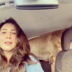 Kim Sharma Instagram - 365 days since we saw each other. How did we manage? That’s the beauty of life, it moves despite all and so you move along with it. But not a single day has passed where I haven’t missed you my most beautiful baby boy. There will never be another You. There will never be another Us. Until we meet again you’re in my heart,be good and dont eat too many biscuits #bones 🐾