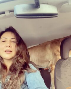 Kim Sharma Instagram - 365 days since we saw each other. How did we manage? That’s the beauty of life, it moves despite all and so you move along with it. But not a single day has passed where I haven’t missed you my most beautiful baby boy. There will never be another You. There will never be another Us. Until we meet again you’re in my heart,be good and dont eat too many biscuits #bones 🐾