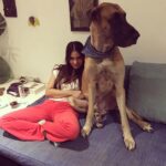 Kim Sharma Instagram - 365 days since we saw each other. How did we manage? That’s the beauty of life, it moves despite all and so you move along with it. But not a single day has passed where I haven’t missed you my most beautiful baby boy. There will never be another You. There will never be another Us. Until we meet again you’re in my heart,be good and dont eat too many biscuits #bones 🐾