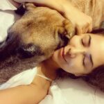 Kim Sharma Instagram - 365 days since we saw each other. How did we manage? That’s the beauty of life, it moves despite all and so you move along with it. But not a single day has passed where I haven’t missed you my most beautiful baby boy. There will never be another You. There will never be another Us. Until we meet again you’re in my heart,be good and dont eat too many biscuits #bones 🐾
