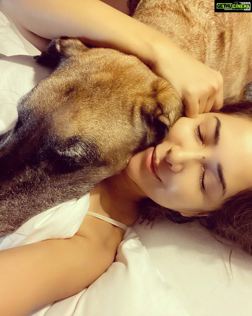 Kim Sharma Instagram - 365 days since we saw each other. How did we manage? That’s the beauty of life, it moves despite all and so you move along with it. But not a single day has passed where I haven’t missed you my most beautiful baby boy. There will never be another You. There will never be another Us. Until we meet again you’re in my heart,be good and dont eat too many biscuits #bones 🐾