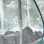 Konkona Sen Sharma Instagram - Mosquito net mornings