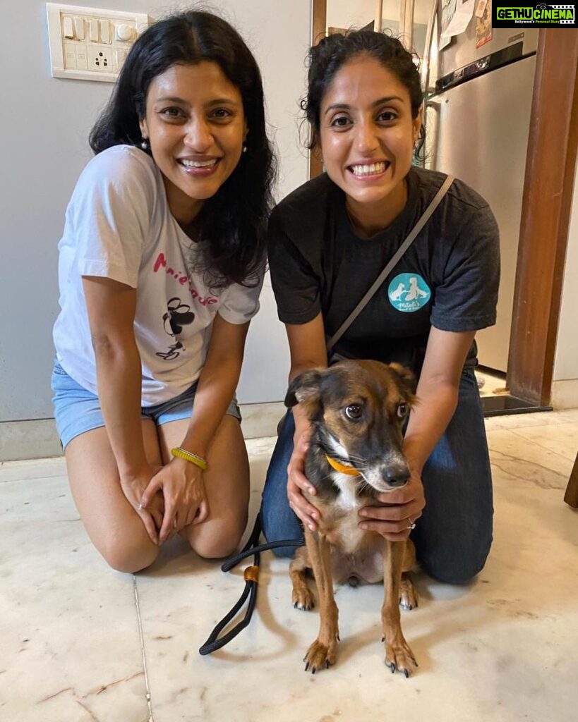 Konkona Sen Sharma Instagram - This is a @mitalisboardandtrain appreciation post! Last lockdown I rescued this cutie but this is my first dog and I hadn’t managed to train her properly. So so happy to have sent my Pepita here for toilet training, leash training and general confidence building. Thank you so much @mitalisalvi and team! 🤗🤗🤗 Also how goofy does my Pepita look 🤪