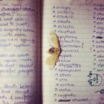 Konkona Sen Sharma Instagram - This is the moth from Death in the Gunj. I first found it, dead, on the steps leading to the main house on the day we shot this scene! I found it again pressed in my notebook. This is my notebook from my A levels, ‘97, ‘98. It was the inspiration for Shutu’s diary. These are my list of ‘e’ words. Also are all these words actually describing the moth, which was to join them years later? This was back when we used to write down the lyrics to songs we liked. What is the song on the left? Thanks @hemistola for pointing out it’s #nationalmothweek2020 Watch the film on @primevideoin