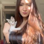 Krissann Barretto Instagram - Special appearance by Charlie and Cat ♥️ They made you look 😍♥️ Cute tiny black dress @thriftflipmumbai #reels #reelsinstagram #reelsvideo #reelsindia #reelsinsta #black #madeyoulook #dog #cat #babies #socute #catdog #cuties #small #adorable #toocute #black #mine