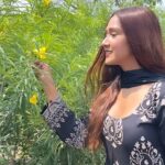 Krissann Barretto Instagram - I still believe in magic Yes I do Ofcourse I do ♥️ Wearing @rustorangedotcom #reels #reelsinstagram #reelsvideo #reelsindia #indian #indianwear #traditional #happy #girl #blessed #grateful #love