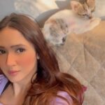 Krissann Barretto Instagram - Can’t believe I spent half my life being scared of these little cartoons 🤣♥️ Are you a cat person or a dog person?! I am an animal person ♥️ Just no cockbirds fuck that 🤣🙈 #reels #reelsinstagram #reelsvideo #reelsindia #reelsinsta #pet #cat #funny #funnyvideos #cute #viral #little #small #tiny #baby #socute #love #animallove #babylove❤️ #cutie #happy #blessed #grateful #starchild #kb #krissannbarretto #krissann
