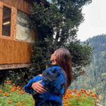 Krystle D'Souza Instagram - The promised land was found 💫 . . . @the_treehouse_jibhi #travelindia #treehouse #airbnbindia #travelandleisure #tandi #wanderlustwednesday #kullumanali #kullu #manali #beautifulhimachal #tirthanvalley #tirthan #jibhivalley #Jibhi #himachalpradeshtourism #girlstrip #mountains