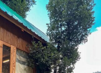 Krystle D'Souza Instagram - The promised land was found 💫 . . . @the_treehouse_jibhi #travelindia #treehouse #airbnbindia #travelandleisure #tandi #wanderlustwednesday #kullumanali #kullu #manali #beautifulhimachal #tirthanvalley #tirthan #jibhivalley #Jibhi #himachalpradeshtourism #girlstrip #mountains