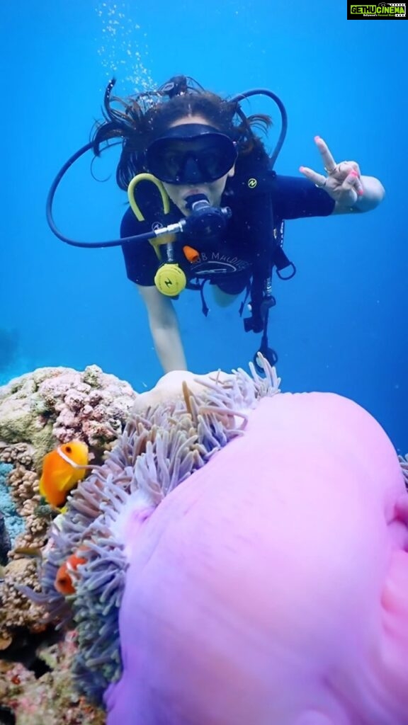 Krystle D'Souza Instagram - Can’t calm down because I found Nemo on my 4th dive 🪸 Honestly one of my best dives ever… beautiful, mysterious, wild and free 🐡 I didn’t want this one to end , I felt like I was a part of the ocean in more ways than one ✨ There’s whole new universe underwater waiting to be explored. Can’t wait for my next ✨🫶🏼 . . A big thank you to @furaveriresort and @makeplansholidays for making this happen. Also it wouldn’t be such a surreal experience without the amazing team at #FuraveriResort @diveclubfuraveri @b._.shetty @costa_friendfaraway @shifad0 @victoria__prince @malota.marie @yussefmarzuk 🤿 . . Ps. @victoria__prince and I spotted 2 sharks 🦈!! Never thought I’d say this but what an exciting overwhelming feeling ! Also , Thanks for these amazing clips ✨
