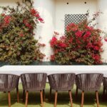 Lisa Haydon Instagram - Backyard in bloom