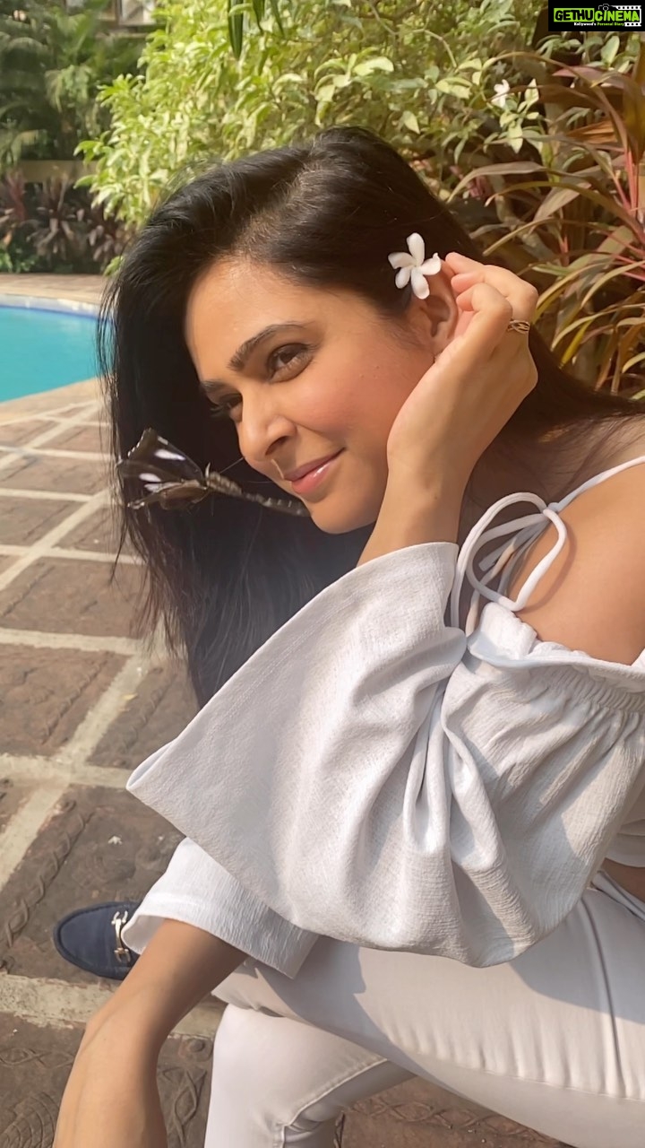 Madhurima Tuli Instagram - Wait! Did a butterfly just videobomb 😍❤️ #waittilltheend #butterfly #photobombing VC - @vijayamountaineer