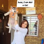 Madirakshi Mundle Instagram - Wakanda Huskie 😉😝 @_zeroshadesofwhatever #becauseitstrending😎✌️ #trending