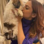 Madirakshi Mundle Instagram - 2 months baby doll & My Unconditional love ❤️ Came to meet me ❤️ for few hours And made my day Missing her already Love you 😇 my angel #petlovers #shitzu