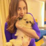 Madirakshi Mundle Instagram - 2 months baby doll & My Unconditional love ❤️ Came to meet me ❤️ for few hours And made my day Missing her already Love you 😇 my angel #petlovers #shitzu