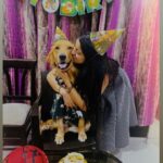 Mahima Makwana Instagram - I found a new meaning to Christmas. ✨ cause it’s my baby boy’s birthday. my boy, my most precious turns 2. You’re my solace and my happiness. You are home. And also the most spoilt kid out there. Happy Birthday Paru. ✨♥️ @parindatheretriever Paru’s Christmas shirt is from @petsetgo.co.in 💜