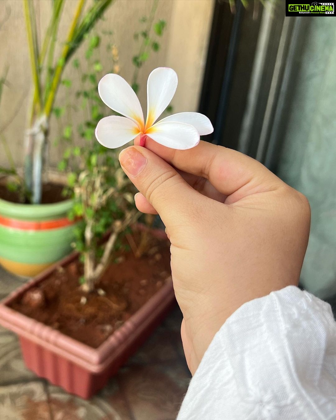 Meera Deosthale Instagram - Hello there, Miss me? 🥰
