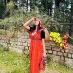 Megha Mathew Instagram - Kashmir ❤The heaven on earth !!! #kashmir #himachal #himachalpradesh #mountains #kashmirdairies #kashmirdress #loveislove #travelgram #insta #instamood Hadimba Temple - Manali, H.P.