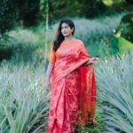 Megha Mathew Instagram - Saree by ; @anika._.boutique Click by ; @anandu._ps #saree #sareelove #sareefashion #sareelover #redsaree #collaboration #sareedraping #sareelovers #keralagram #instagram.