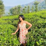 Megha Mathew Instagram - 🌸🌸🌸 #fashion #style #love #instagood #like #photography #photooftheday #beautiful #follow #instagram #picoftheday #model #bhfyp #instadaily #me #art #smile #likeforlikes #beauty ##myself #ootd #happy #instalike #fashionblogger #moda #cute ##likes. Munnar Hillstation, Kerala