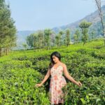 Megha Mathew Instagram - 🌸🌸🌸 #fashion #style #love #instagood #like #photography #photooftheday #beautiful #follow #instagram #picoftheday #model #bhfyp #instadaily #me #art #smile #likeforlikes #beauty ##myself #ootd #happy #instalike #fashionblogger #moda #cute ##likes. Munnar Hillstation, Kerala