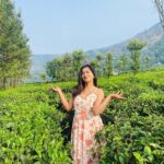 Megha Mathew Instagram - 🌸🌸🌸 #fashion #style #love #instagood #like #photography #photooftheday #beautiful #follow #instagram #picoftheday #model #bhfyp #instadaily #me #art #smile #likeforlikes #beauty ##myself #ootd #happy #instalike #fashionblogger #moda #cute ##likes. Munnar Hillstation, Kerala