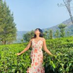 Megha Mathew Instagram – 🌸🌸🌸

#fashion #style #love #instagood #like #photography #photooftheday #beautiful #follow #instagram #picoftheday #model #bhfyp #instadaily #me #art #smile #likeforlikes #beauty ##myself #ootd #happy #instalike #fashionblogger #moda #cute ##likes. Munnar Hillstation, Kerala