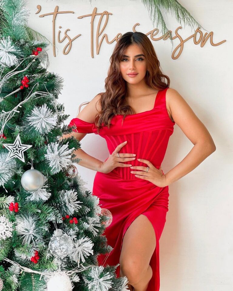 Miesha Saakshi Iyer Instagram - Merry Christmas 🎄🎁❤️ . . Outfit @theluxbug Decor @planwithpals